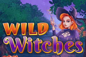 Ігровий автомат Wild Witches